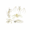 Skeleton Animals Assorted