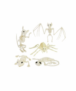 Skeleton Animals Assorted