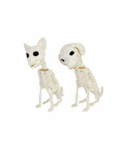 Sitting Animal Skeleton Assorted 19cm