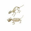 Skeleton Animal Assorted 27cm