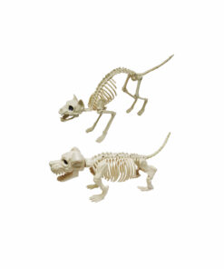 Skeleton Animal Assorted 27cm