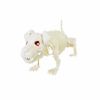 Skeleton Dog with Light 18cm