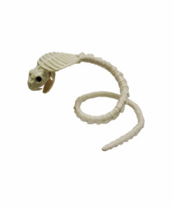 Cobra Skeleton 1m