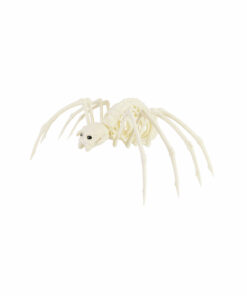 Skeleton Spider 38cm