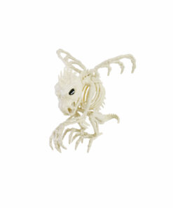 Skeleton Flying Dragon 21.5cm