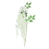 Lime White Bean Flower Cane Single 3 branch 129cm