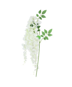 Lime White Bean Flower Cane Single 3 branch 129cm