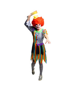 Horror Clown Lady