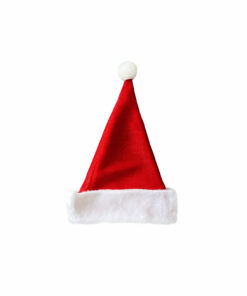 Plush Santa Hat Adult