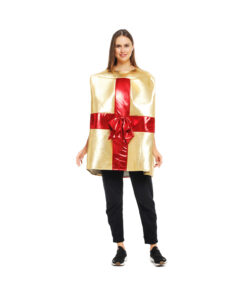 Christmas Gift Costume