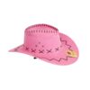 Pink Cowboy Hat Adult