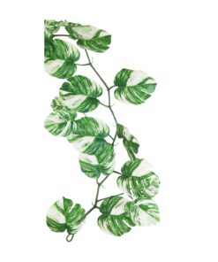 Monstera Vine 180cm