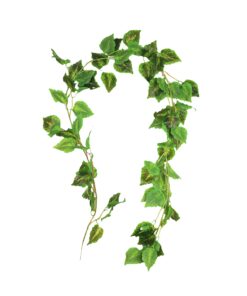 Cattail Vine 200cm Assorted