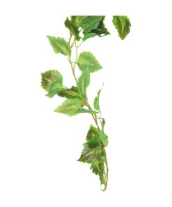 Cattail Vine 200cm Assorted