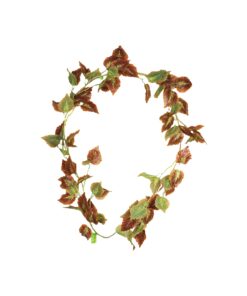 Cattail Vine 200cm Assorted