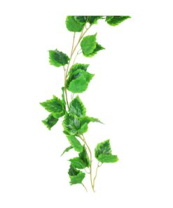 Cattail Vine 200cm Assorted