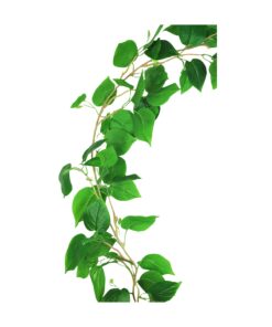 Green Wisteria Vine 200cm