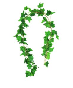 Sweet Potato Vine 200cm