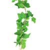 Sweet Potato Vine 200cm