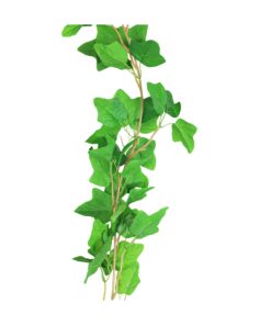 Sweet Potato Vine 200cm