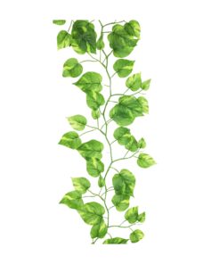 Green Wisteria Vine 185cm