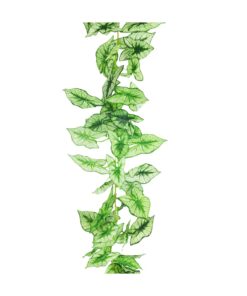 Taro Leaf Garland 240cm