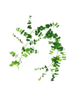 Eucalyptus Garland 190cm