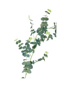 Eucalyptus Garland 190cm