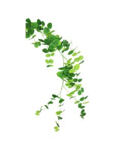 Eucalyptus Garland 190cm