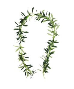 Olive Leaf Garland 200cm