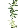 Olive Leaf Garland 200cm