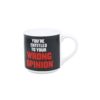 Your Wrong Opinion Mug