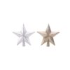 Platinum Silver & Silver Star Tree Topper