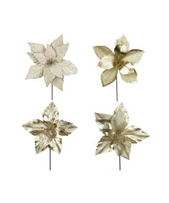 Champagne Poinsettia With 30cm