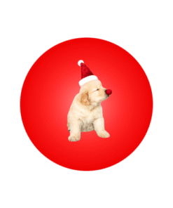 Christmas Pet Costumes