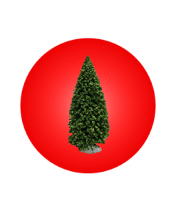 Christmas Trees