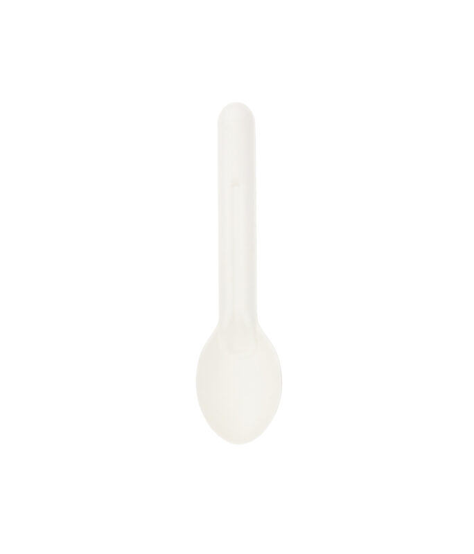 Biodegradable Spoons 14.5cm 100pcs – LookSharpStore