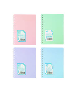 A6 Morandi Notebook Assorted
