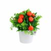 Orange Artificial Plants with White Pot 19cm