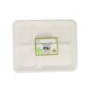 5 Section Biodegradable Plates 25pc 260 x 210 x 25 mm