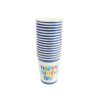 Birthday Boy Paper Cup 9oz 16pcs