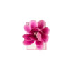 Orchid Flower Hairclip 9cm