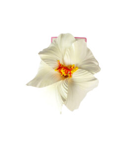 Hibiscus Flower Hairclip 15cm
