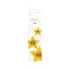 Gold Metallic Star Paper Fan Set 3pc