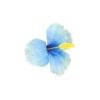 Hibiscus Flower Hairclip 11cm