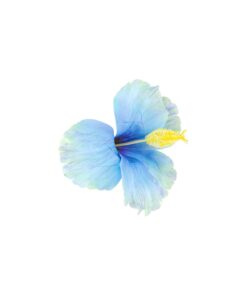 Hibiscus Flower Hairclip 11cm