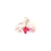 Phalaenopsis orchid Flower Hairclip 9cm