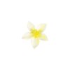 Clematis Flower Hairclip 8cm