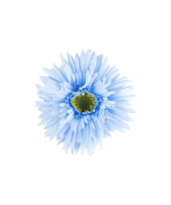 Gerbera jamesonii Flower Alligator Clip 11cm