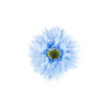 Gerbera jamesonii Flower Alligator Clip 11cm